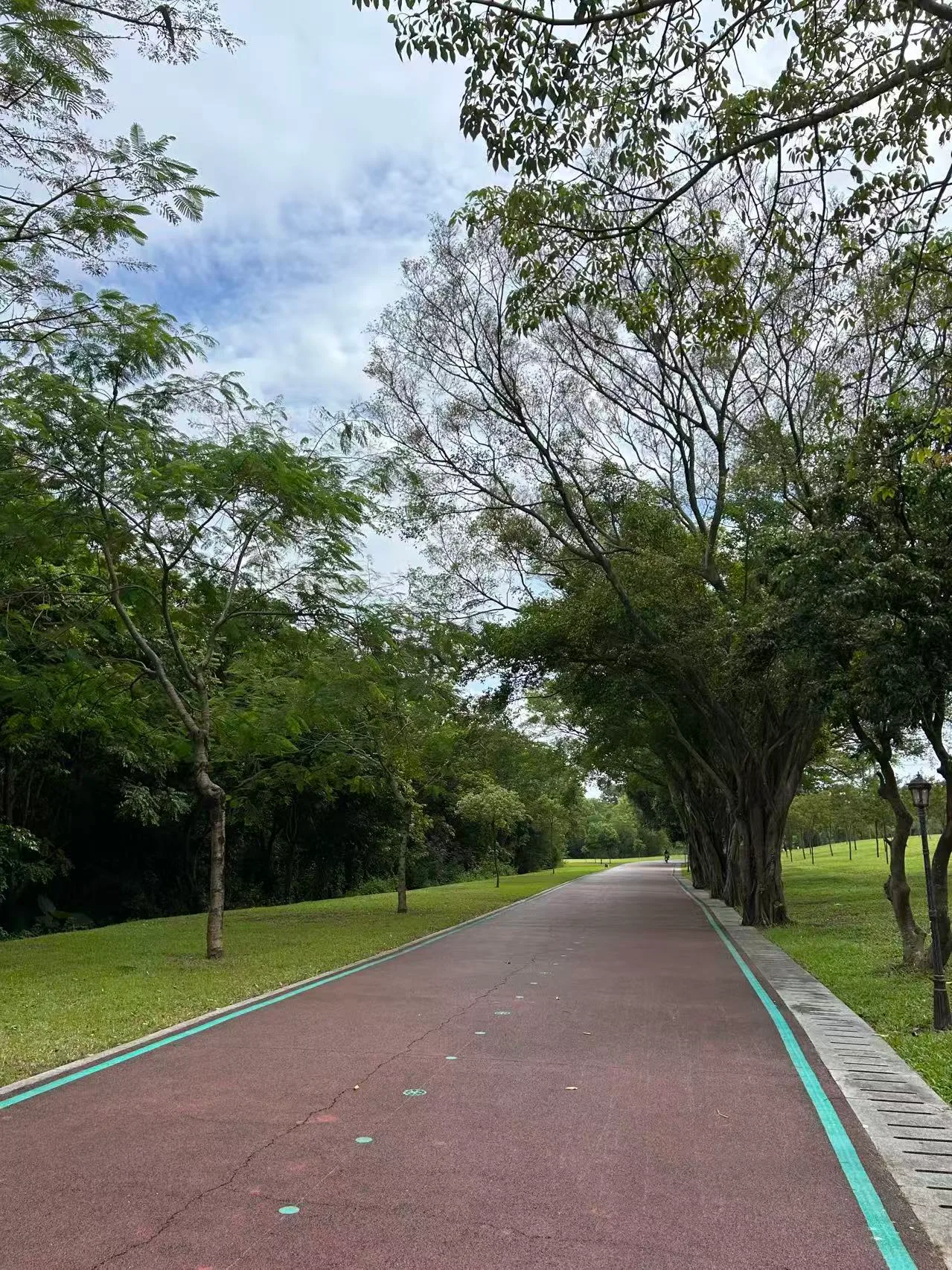 一路上几乎都是这样的骑行道，有些地方会窄些