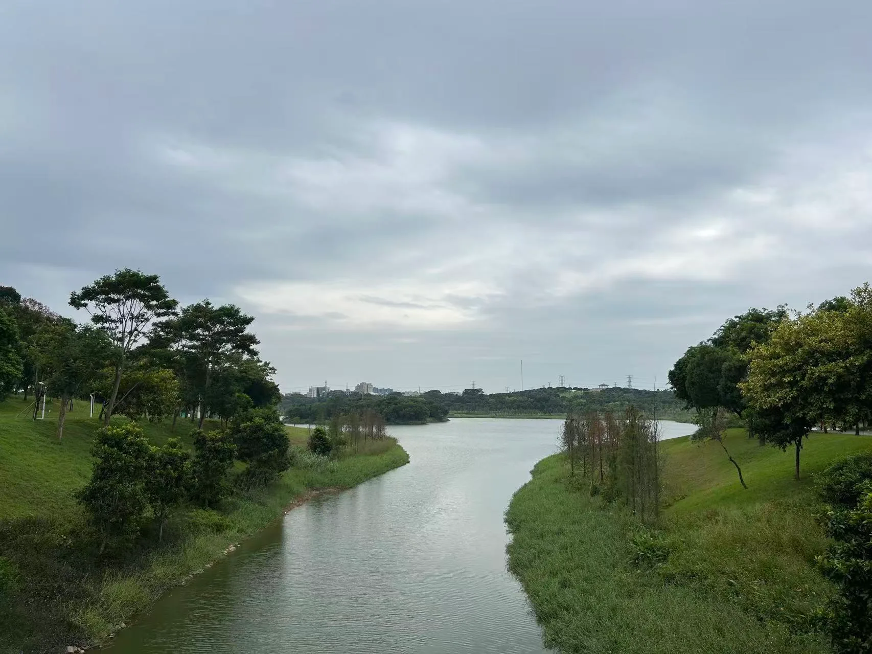 湿地公园里的水域